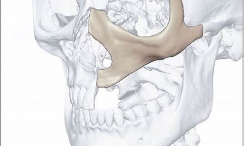 A Peek into Cabo Wabo’s Rules about Age and Drinking