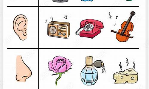 A Taste Sensation at Cabo Wabo Grill San Diego