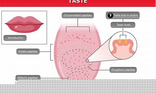 A Taste of Mexico with Cabo Wabo Blanco