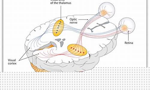 A Visual Tour of the Gastronomic Offerings at Cabo Wabo Las Vegas