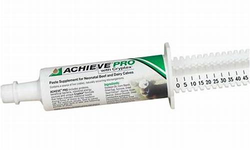 Achieve Precision and Consistency with WABO Shoot