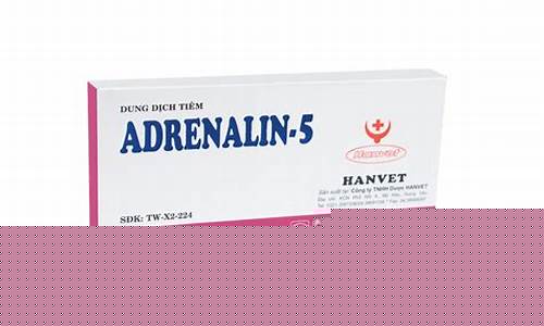 Adrenaline-Pumping Action at WABO Skydiving Competition