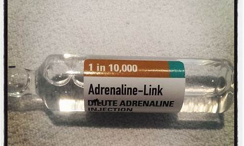 Adrenaline-Pumping Action at the WABO Skydiving Contest