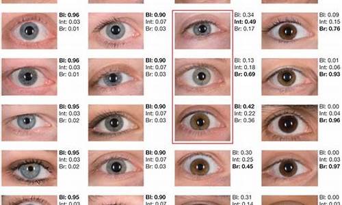 All Eyes on WABO Messi Showdown