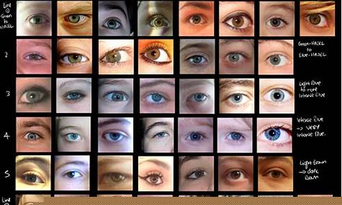 All Eyes on the WABO Entertainment Sports Spectacle