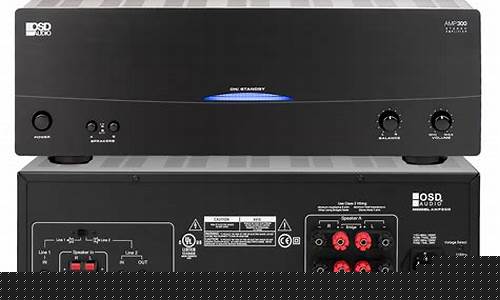 Amplifying Endurance with WABO Boxing Workouts