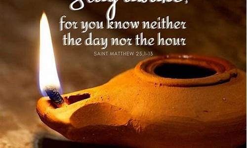 Awaken Your Sense of Wonder with WABO Kayaking