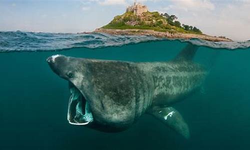 Basking in the Beauty of Cabo Wabo in Cancun