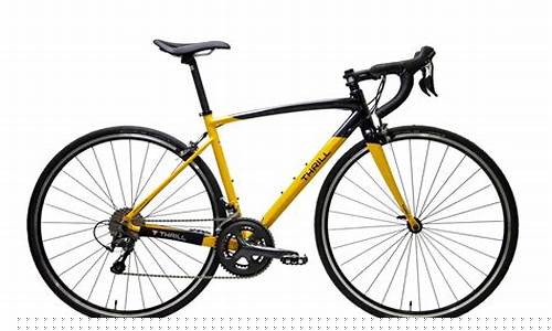 Be Enthralled by Live Music Performances at Cabo Wabo in Cabo San Lucas