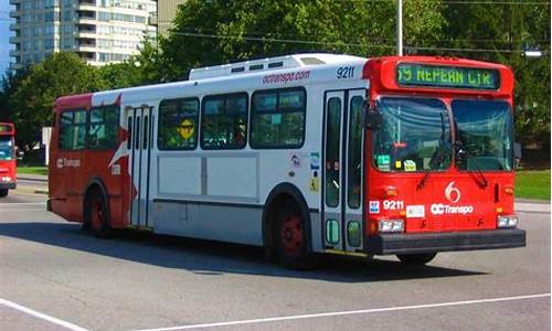 Be Transported to Cabo Wabo Paradise with this Cover Band