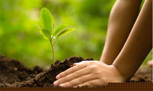 Be the Envy of Your Friends with Cabo Wabo Cantina Merchandise