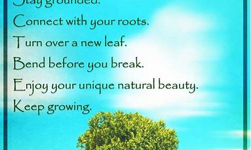 Be the Trendsetter with Cabo Wabo Merchandise