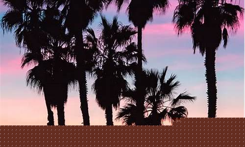 Beach vibes meet Mexican-inspired cuisine at Cabo Wabo HB