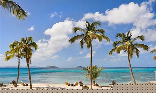 Beachside Bliss with Cabo Wabo Beach Club T-Shirt