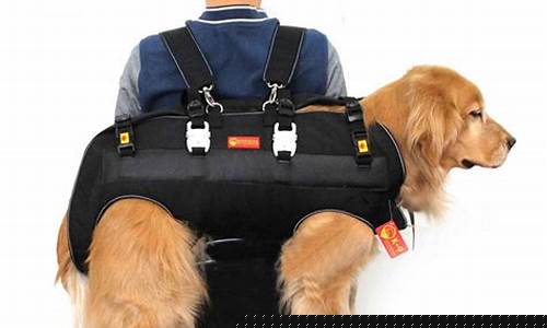 Carry Your Clubs in Style with Cabo Wabo Golf Bags