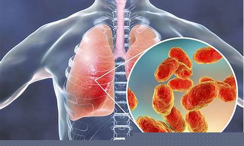 Cerita Hiburan yang Tak Terlupakan di Wabo Entertainment City