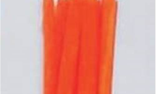 Culinary Creations at Cabo Wabo Grill