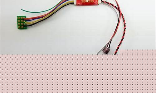 Decode Cabo Wabo’s Drinking Age Guidelines