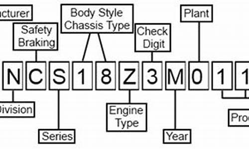 Decode Cabo Wabo’s Drinking Age Guidelines