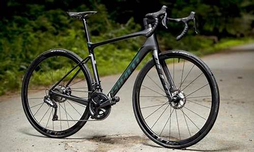 Defy Limits at the WABO Skydiving Spectacle