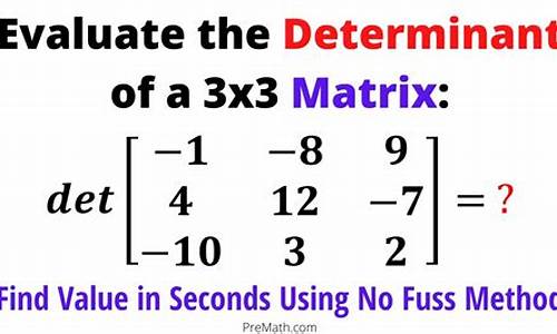 Determination and Skill at WABO Basketball Competition