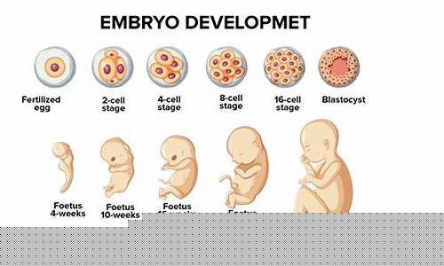 Developing Social Skills through WABO Taekwondo