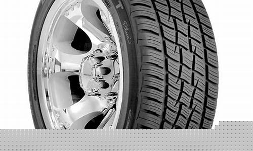 Discover Hidden Gems with WABO Kayaking Explorations