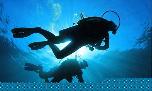 Dive Deeper into Sustainability with WABO Swim