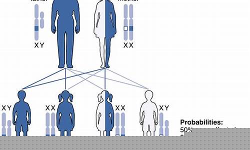 Dominate Your Workouts with WABO Weightlifting