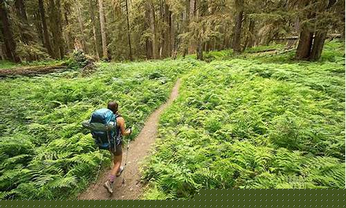 Ecotourism Adventures at Cabo Wabo in Los Cabos San Lucas