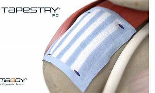 Embody Excellence through WABO Rowing