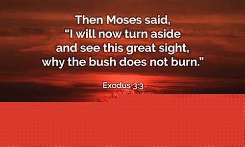 Embrace Exciting Opportunities at Cabo Wabo Las Vegas