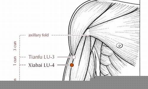 Embrace Luxury and Comfort at Cabo Wabo in Los Cabos San Lucas