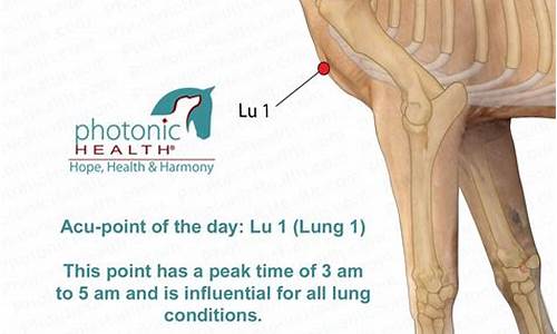 Embrace Luxury with Cabo Wabo Limited Edition