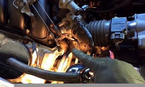 Escape into a World of Live Music at Cabo Wabo Lake Tahoe