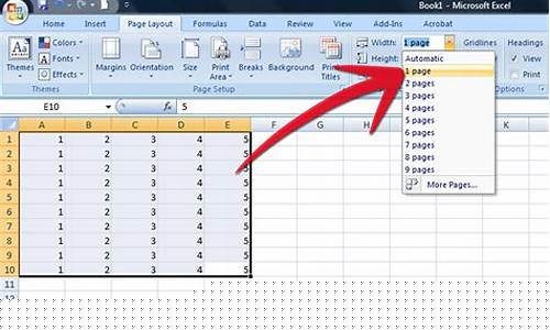 Excel in Your Fitness Journey with WABO Weightlifting