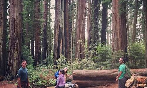 Explore Cabo Wabo Lake Tahoe’s Hours for a Fun-Filled Experience