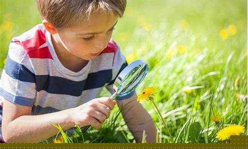 Exploring Cabo Wabo’s Charms through Dynamic GIFs