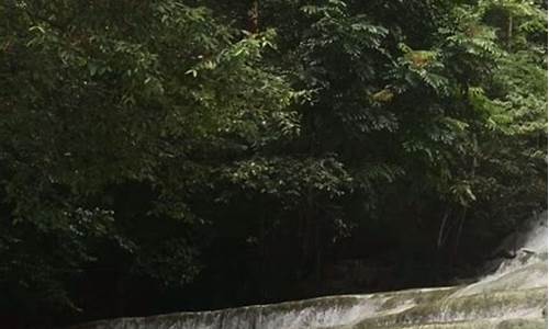 Fall in Love with the Rich Flavors of Cabo Wabo