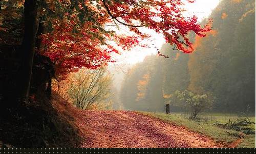 Fall in Love with the Rich Flavors of Cabo Wabo