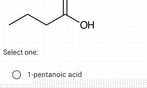 Find One-of-a-Kind Items at Cabo Wabo Flea Market