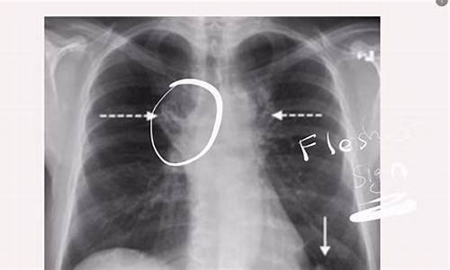 Finding Peace at Cabo Wabo’s Secluded Location