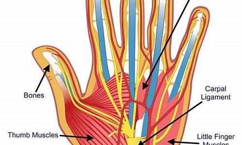 First-Hand Cabo Wabo Cantina Experiences Shared