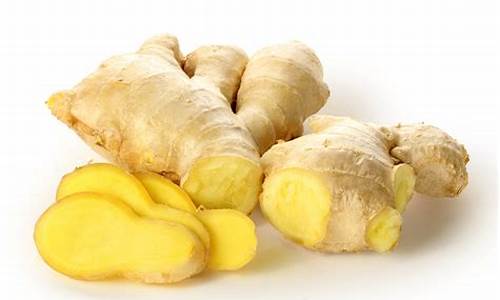 Fresh Ingredients, Bold Flavors – Cabo Wabo Grill 2