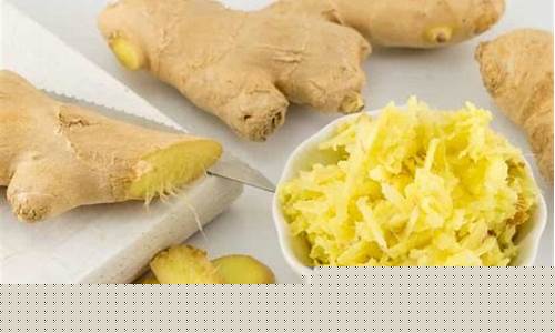 Fresh Ingredients, Bold Flavors at Cabo Wabo Grill Hollywood