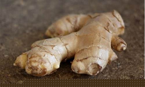 Fresh Ingredients, Bold Flavors at Cabo Wabo Grill San Diego