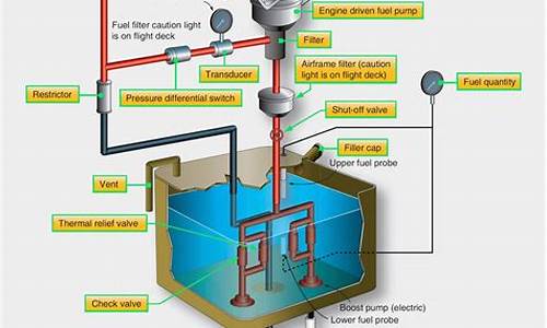 Fueling the Fire of Competition at WABO Sports