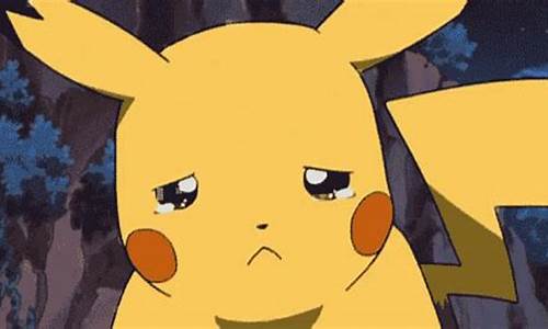 GIFs that Capture the Essence of Cabo Wabo