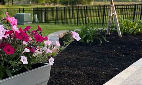 Get Your Adrenaline Pumping with Cabo Wabo Los Cabos’ Adventure Tours