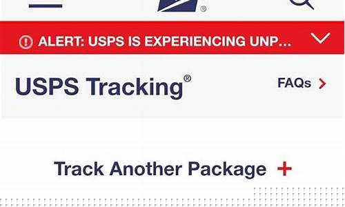 Get Your Boots Dirty in Cabo Wabo Country